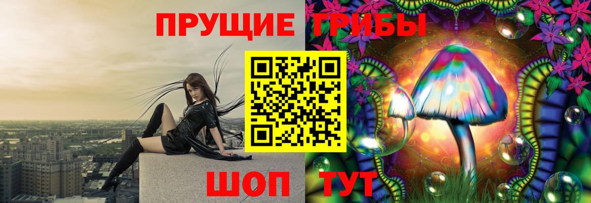 Кувандык  Псилоцибиновые грибы Psilocybe  Вход с VPN 